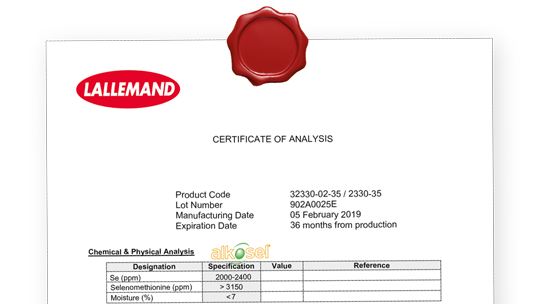 Certificate example image